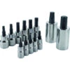 Craftsman 13-Piece 1/4-in And 3/8-in Drive Torx Bit Socket Set -Tool Nomic Sales 00277392 L